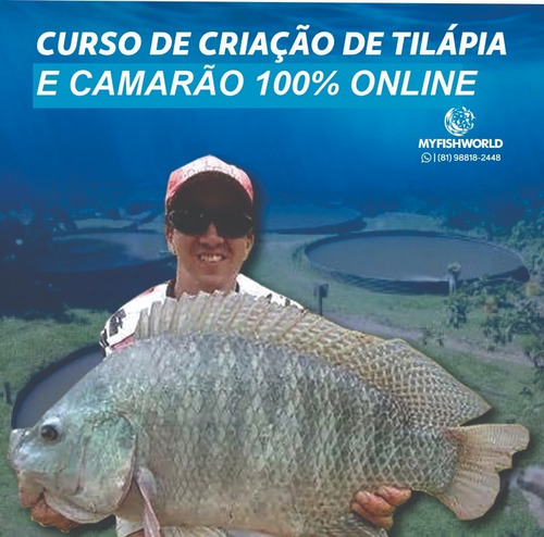 Imagem 3 de 10 de Kit Tanque 75m3 + Soprador+ Unid De Aeração+ Colar+ Curso