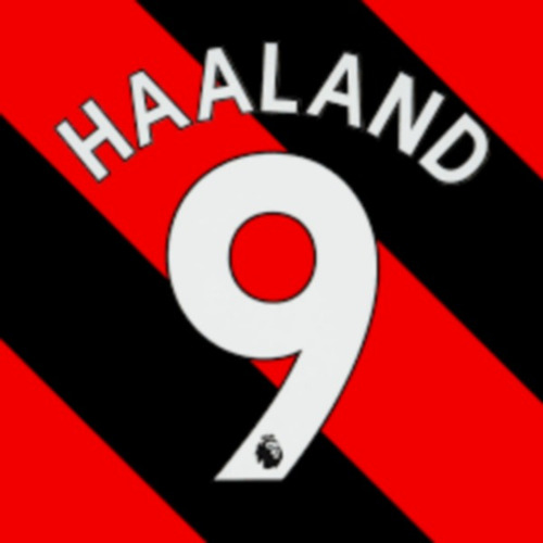 Numero #9 Haaland Manchester City Premier 2022/23 Suplente