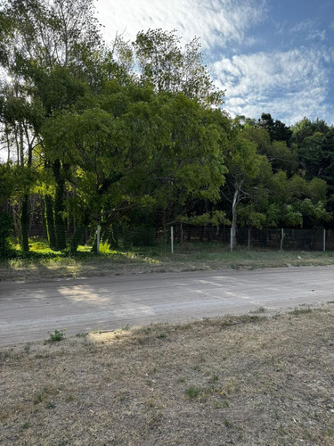 Terreno En Venta En San Bernardo Oportunidad