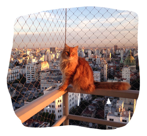 Red De Protección Blanca Y Negra Para Balcones Niños Gatos