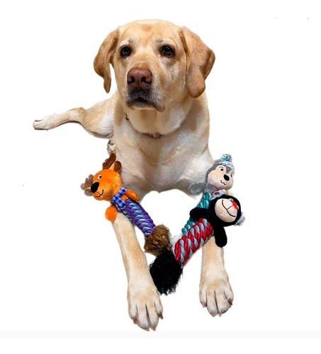 Juguete Para Perro 3pz Think Dog