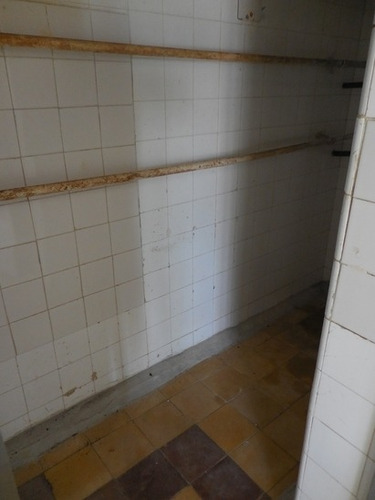 Imagen 4 de 6 de Alquiler Local Comercial Monoambiente Flor De Maroñas Bragli