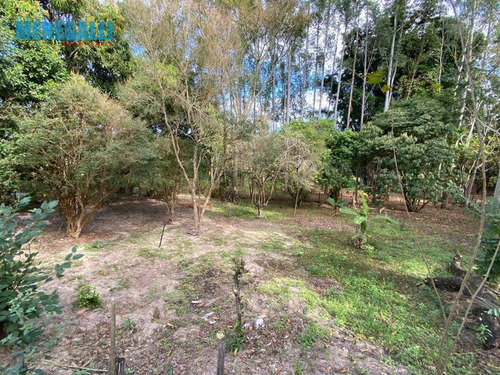 Imagem 16 de 17 de Chácara - Floresta Escura - São Pedro/sp - Ch0069