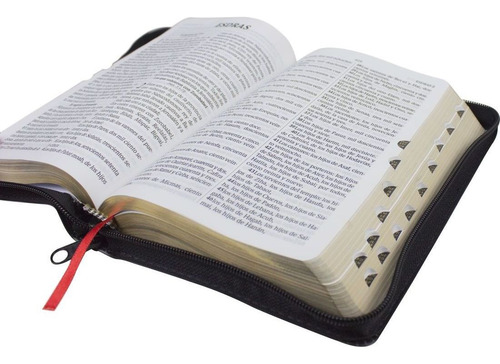 Sagrada Biblia en español Reina Valera SBB Publisher Concordance 14x20cm 2021