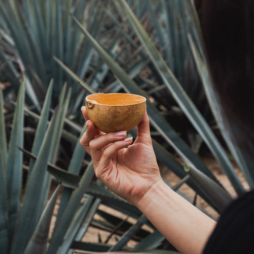 Mezcal Artesanal Joven Respiro