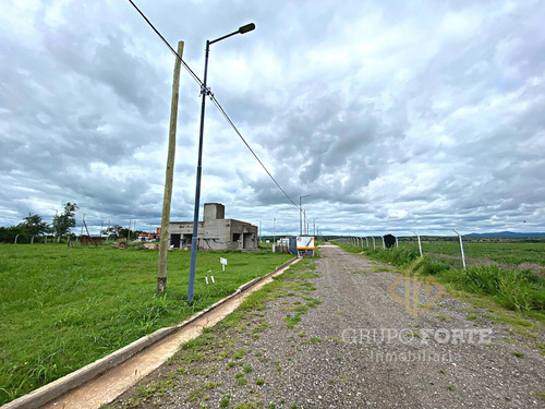 Imagen 8 de 26 de Terreno A La Venta En La Ernestina