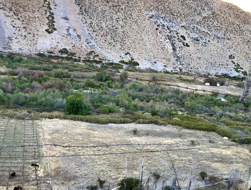 Parcela En Venta Alcohuaz Valle Elqui Orilla Rio