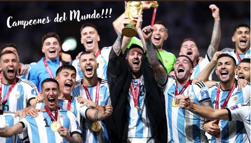 Poster Selección Campeones Del Mundo 40x70 Vinilo Premium