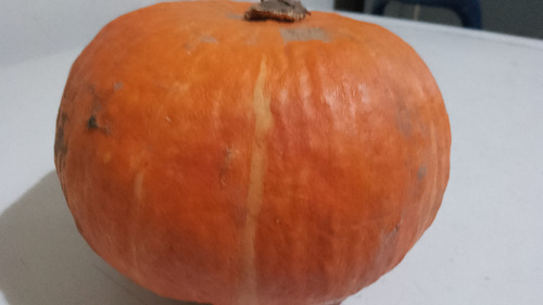 Semillas De Zapallo Princesa (20) O Zapallo Naranja, King