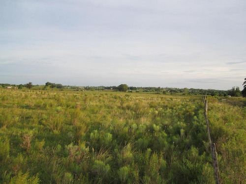 Imagen 11 de 18 de Campo Pegado A Tala, 22 Hás