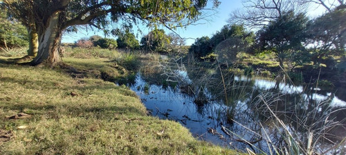 Imagen 14 de 28 de Venta Campo Ideal Para Fraccionar En Chacras Codigo 6003 - Las Garzas