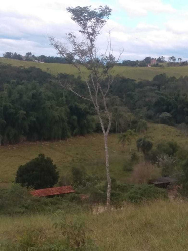Imagem 10 de 14 de A26- -terrenos Com Ótima Topografia.