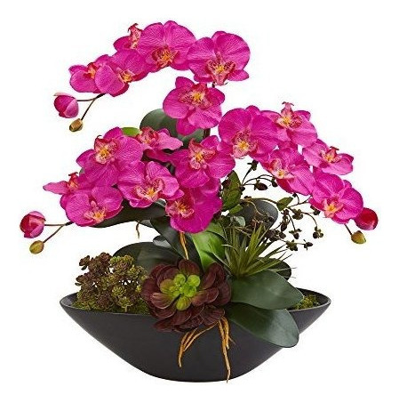 Orquidea Phalaenopsis Casi Natural Y Jardin Suculento Mixt