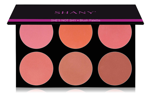 Shany The Masterpiece 15 Base De Color