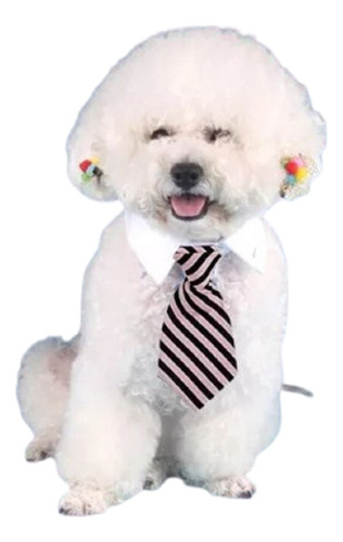 Hermosa Corbata Con Collaretera Para Mascotas Perro Gato