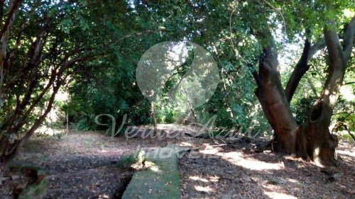 Chácara À Venda Em Parque Universitário De Viracopos - Ch007630