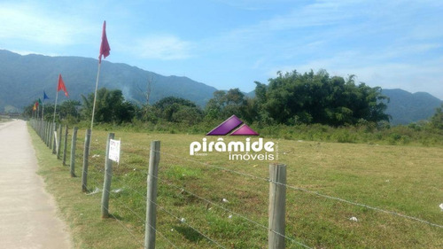 Imagem 9 de 12 de Terreno À Venda, 10000 M² Por R$ 10.000.000,00 - Travessão - Caraguatatuba/sp - Te0906
