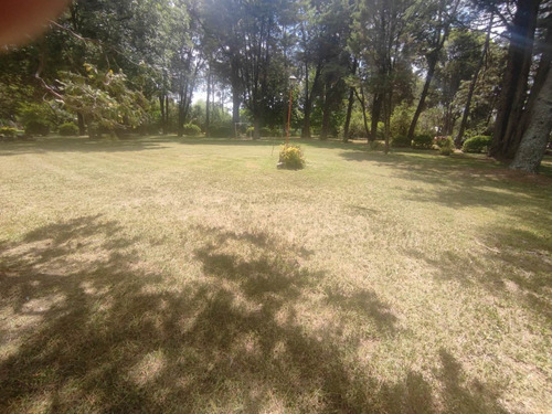 Imagen 12 de 30 de Hermosa Quinta Con Mucha Arboleda Añeja