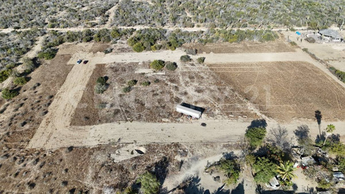 El Palmar, Terreno En Venta En El Pescadero B.c.s.