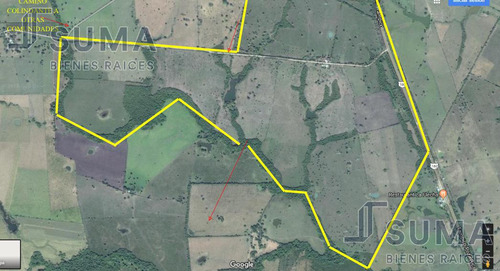 Rancho En Venta Sobre Carretera Tuxpan - Tampico, Ozuluama Veracruz