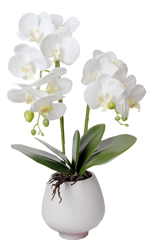 Buchixc Orquídeas Artificiales Flores Con Jarrón Blanco Phal