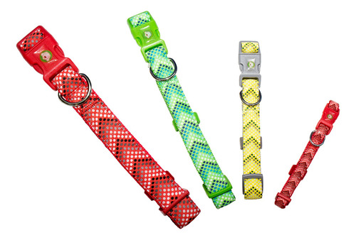 Collar Perro Puntitos Xs Rojo Mascan Rojo