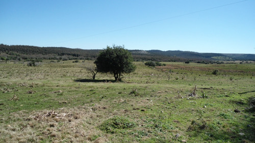 Imagen 7 de 20 de Chacra Ganadera-agrícola-turística De 11 Has. En Campanero.