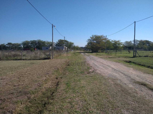 Imagen 2 de 6 de 650 Y 118, Lotes En Venta, Villa Parque Sicardi.-