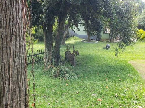 Imagem 3 de 8 de Vende-se Rural Chácara - 3808