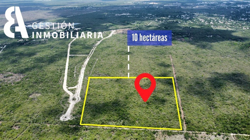 Terreno De 2.5 Hectareas En Conkal, Yucatán. Ctv259