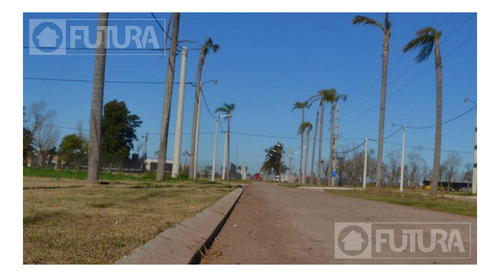 Imagen 8 de 9 de Barrio Abierto - Roldan