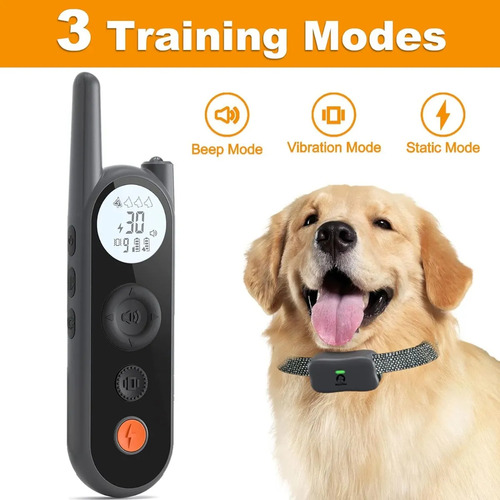 Collar Entrenamiento Para Perros Con Control Contra Agua Negro