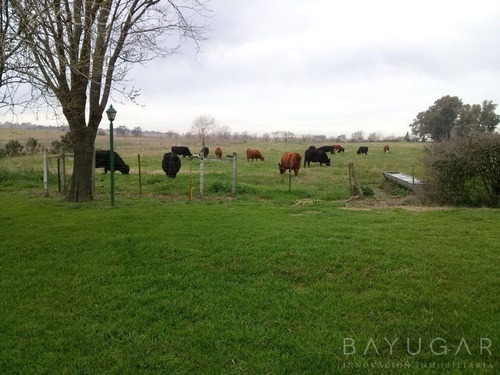 Imagen 16 de 30 de Venta - Campo En Cardales - Bayugar Negocios Inmobiliarios