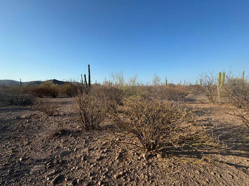 Camino A San Javier Lot 765 Parcela Z11, Loreto, Bcs