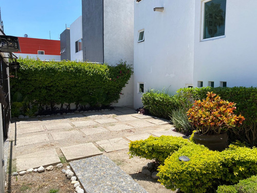 El Clima Perfecto Se Vive En Cuernavaca Junto Al Rio.