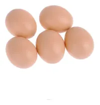 Comprar Kit 108 Ovos Falsos Plástico Para Indez Galinha Frete Grátis