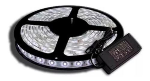 5050/5 Cinta Luces Tira De 300 Led Blanco 5mt A 220v -escar