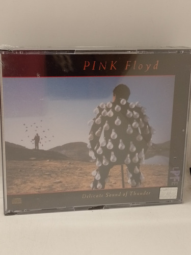 Pink Floyd Delicate Sound Of Thunder Cd Caja Doble N Disqrg