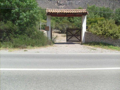 Terreno En El  Molle ,valle De Elqui (16128)