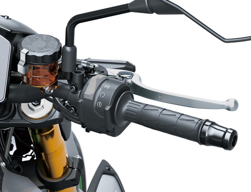 #064 - Z900 R Edition 2026
