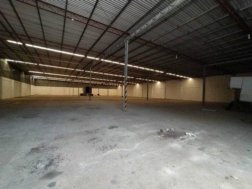 Imagen 6 de 12 de Renta De Bodega