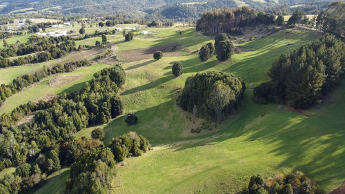 Imagen 10 de 16 de Campito De 7ha Mirador Del Mañio - Los Muermos