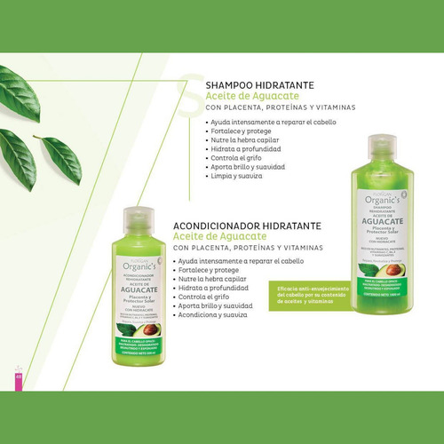 Shampoo Aceite De Aguacate Hidratante Florigan® 1lt - 10 Pzs