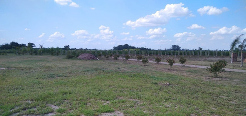 Terrenos En Villa Amelia Sobre Ruta Comercial - Ideal Negocio