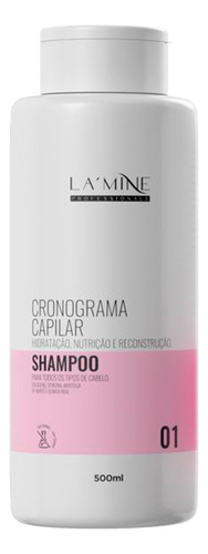 Kit Completo Cronograma Capilar Lamine 4 Itens