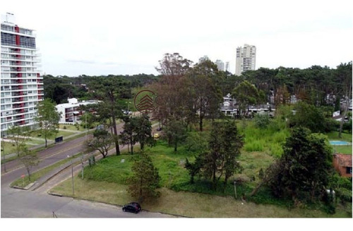 Imagen 13 de 30 de Lindisimo Edificio Ubicado A Pocas Cuadras Del Mar - Punta Del Este Roosevelt