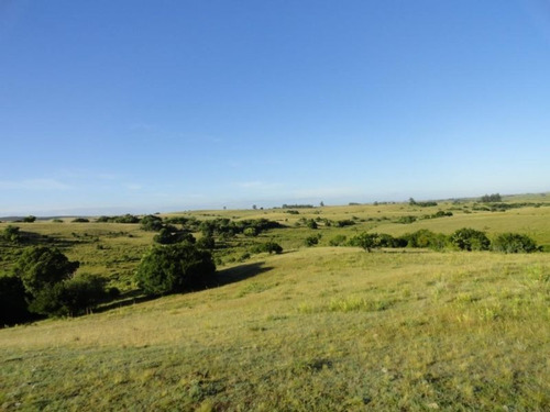 Campo En Venta En Garzón Rural