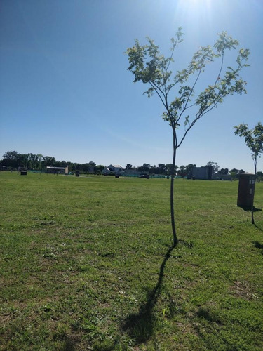 Imagen 2 de 24 de Hermoso Terreno Perimetral En San Ramon