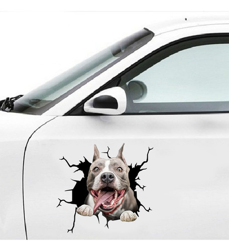 Decoração De Adesivos Para Animais De Estimação J Personalit