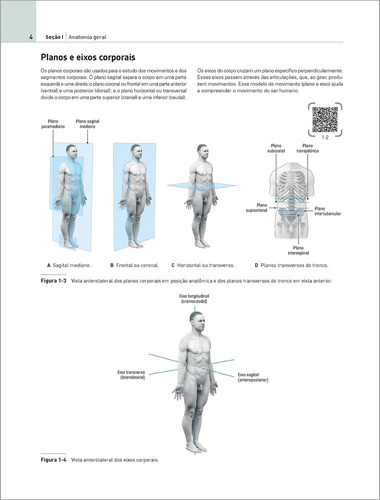 Eva Atlas De Anatomia
